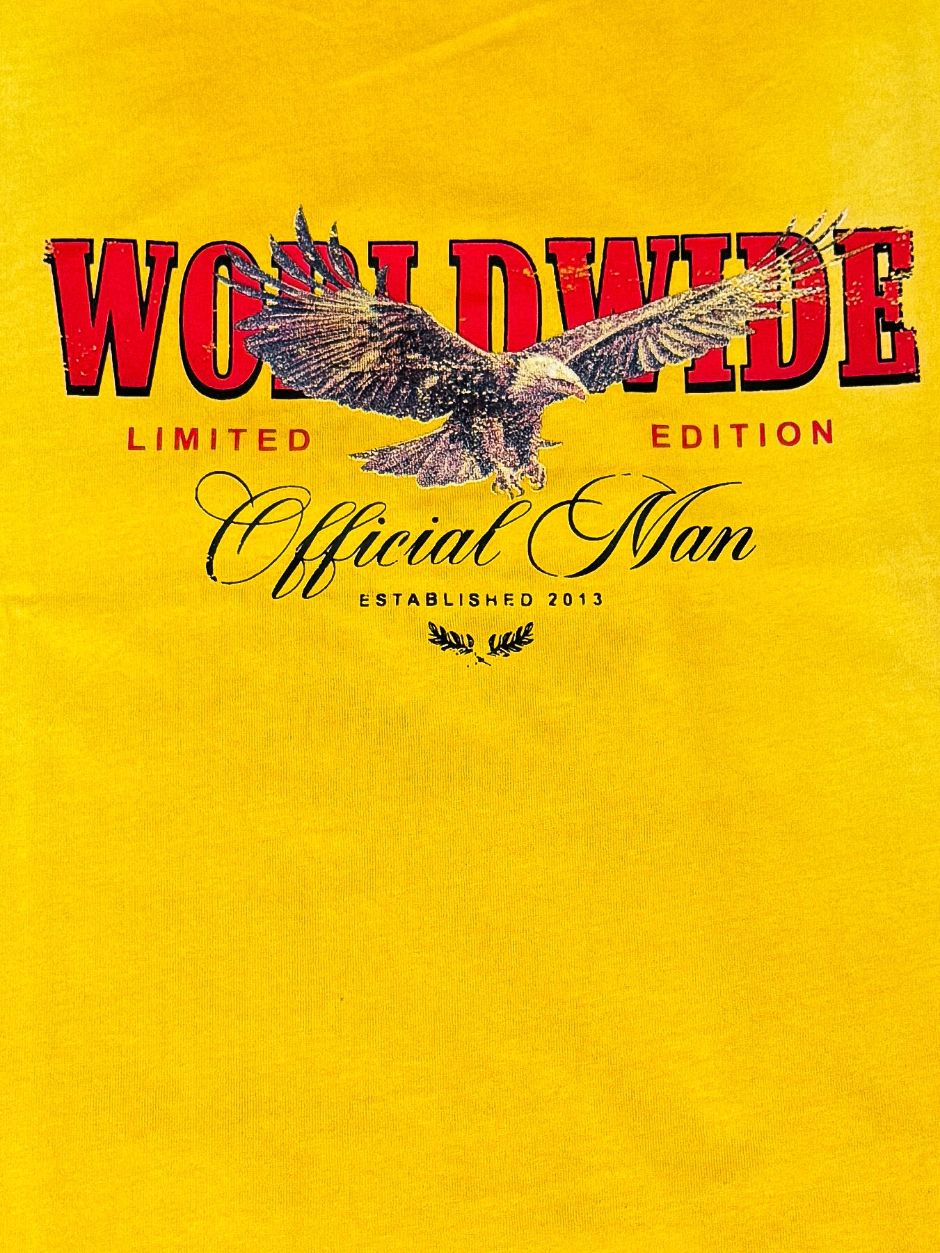Shrunken Washed Eagle Graphic T-Shirt